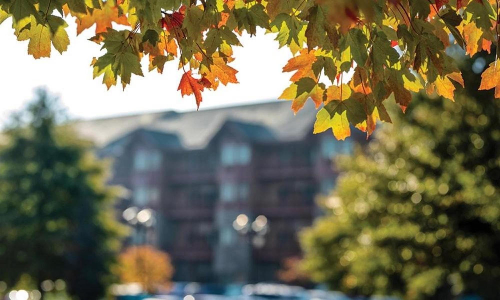 Great Smokies Lodge Sevierville By Hellovacay Экстерьер фото